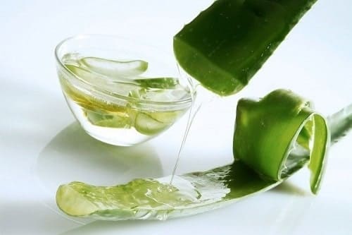 Chữa nứt kẽ hậu môn bằng nha đam