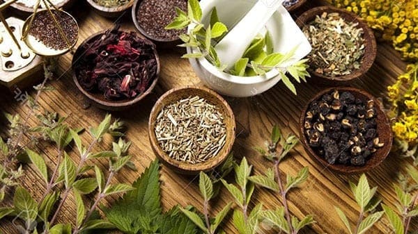 Lợi ích khi sử dụng bài thuốc nam trị bệnh trĩ